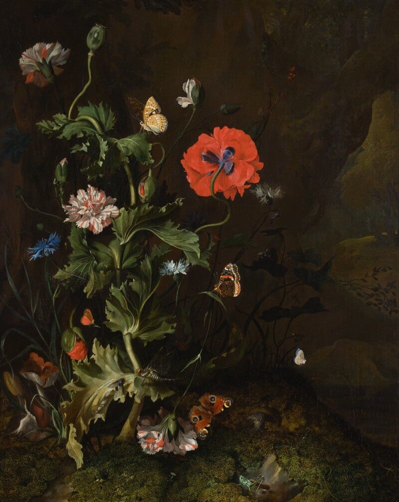 Still life of a thistle between carnations and cornflowers on a mossy forest floor, with butterflies and a cricket (1683) | Rachel Ruysch